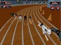Žaidimas Crazyl Dog Racing Fever