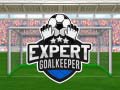 Žaidimas Expert Goalkeeper