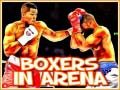 Žaidimas Boxers in Arena