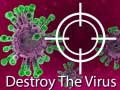 Žaidimas Destroy The Virus