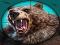 Žaidimas Wild Bear Hunting