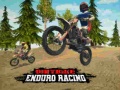 Žaidimas Dirt Bike Enduro Racing