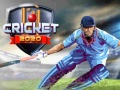 Žaidimas Cricket 2020