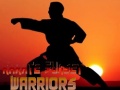 Žaidimas Karate Sunset Warriors