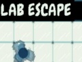 Žaidimas Lab Escape