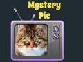 Žaidimas Mystery Pic