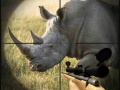 Žaidimas Wild Rhino Hunter