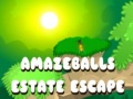 Žaidimas Amazeballs Estate Escape
