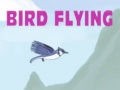 Žaidimas Bird Flying