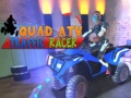 Žaidimas Quad ATV Traffic Racer