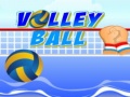 Žaidimas Volley ball