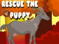 Žaidimas Rescue The Puppy