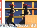 Žaidimas Sniper Master 3D