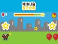 Žaidimas Ninja Star