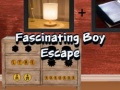 Žaidimas Fascinating Boy Escape