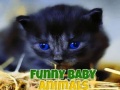 Žaidimas Funny Baby Animals