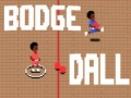 Žaidimas Bodge Dall
