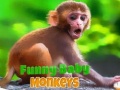 Žaidimas Funny Baby Monkey