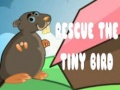 Žaidimas Rescue The Tiny Bird