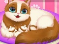 Žaidimas Cute Kitty Pregnant