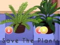 Žaidimas Save the Plants