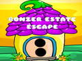Žaidimas Bonzer Estate Escape