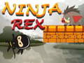 Žaidimas Ninja Rex