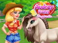 Žaidimas Audrey Pony Daycare