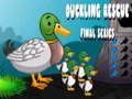 Žaidimas Duckling Rescue Final Episode