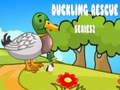 Žaidimas Duckling Rescue Series2