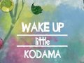 Žaidimas Wake Up Little Kodama