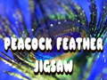 Žaidimas Peacock Feather Jigsaw