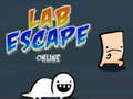 Žaidimas Lab Escape Online