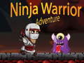 Žaidimas Ninja Warrior Adventure