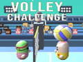 Žaidimas Volley Challenge