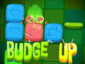 Žaidimas Budge Up