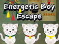 Žaidimas Energetic Boy Escape