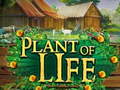 Žaidimas Plant of Life