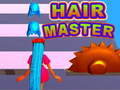 Žaidimas Hair Master