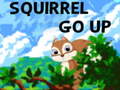 Žaidimas Squirrel Go Up