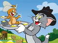Žaidimas Tom and Jerry Slide