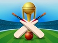 Žaidimas Cricket Champions Cup