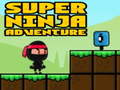 Žaidimas Super Adventure Ninja