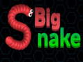 Žaidimas Big Snake