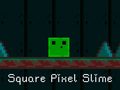 Žaidimas Square Pixel Slime