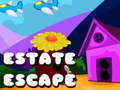 Žaidimas Estate Escape