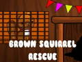 Žaidimas Brown Squirrel Rescue