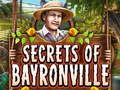 Žaidimas Secrets of Bayronville
