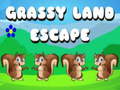 Žaidimas Grassy Land Escape