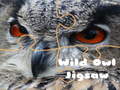 Žaidimas Wild owl Jigsaw